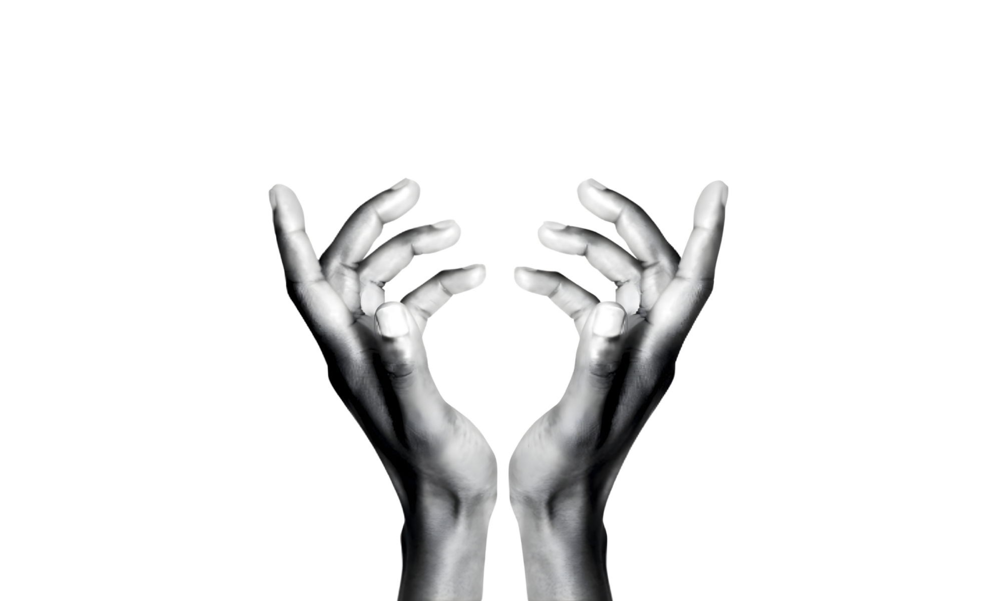 Logo Ivan Vasciminno contatto evolitivo